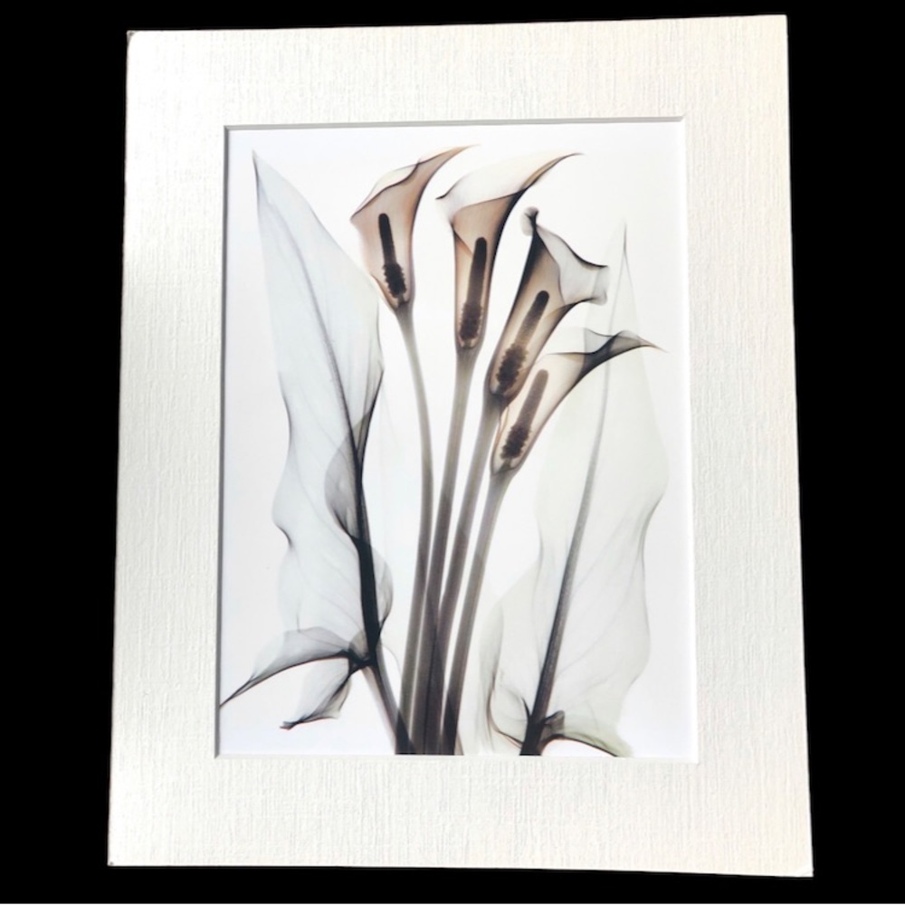 Lilies floral print in white matte
